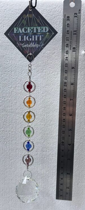 Framed K9 Rainbow Crystal Suncatcher (SC4573)